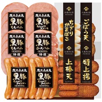 鹿児島県産恵味の黒豚ハムとさつま揚げセット KKS-500(N