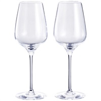シューブリム ワイングラスペア