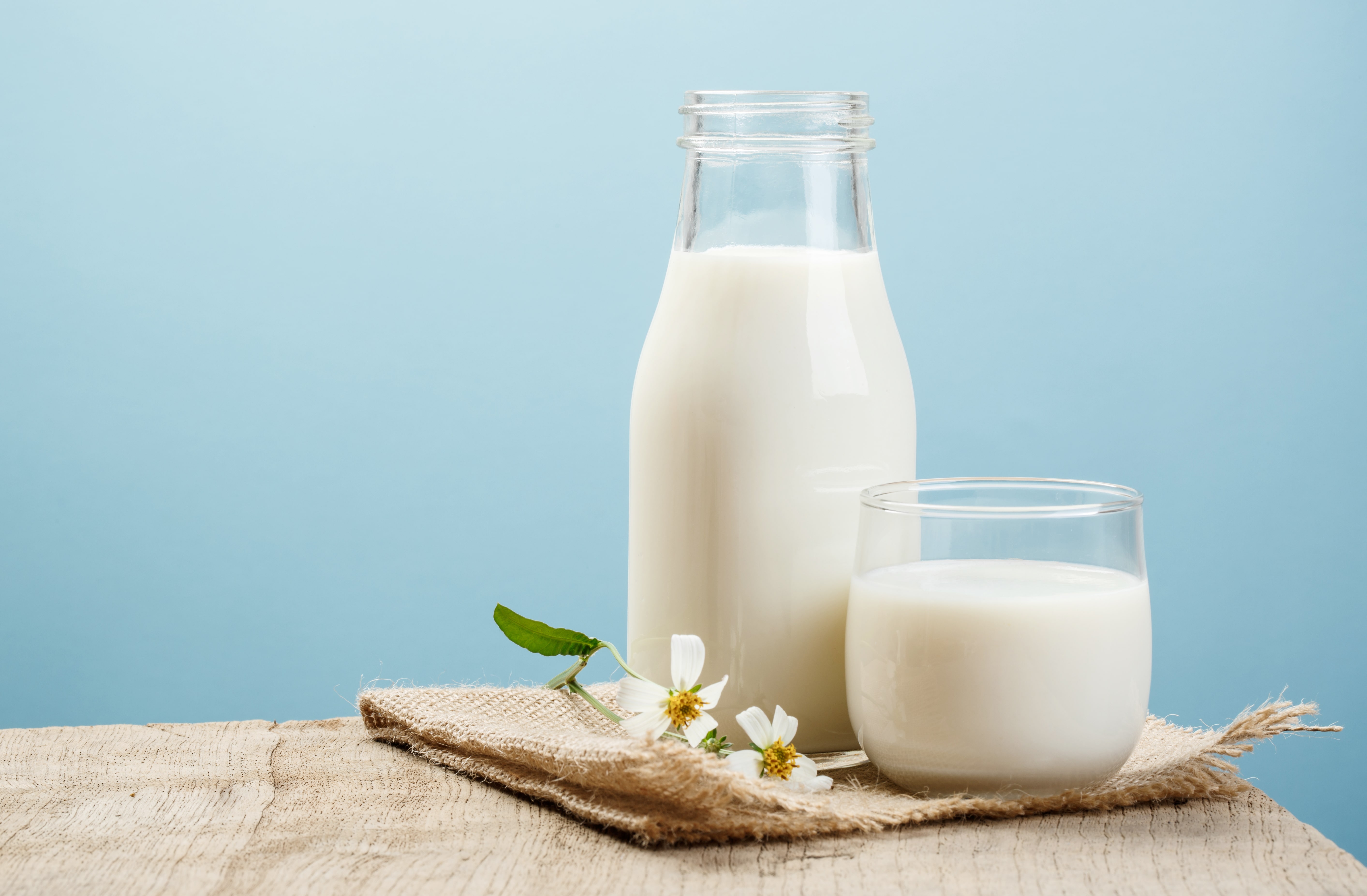 牛乳は血圧を下げる。その理由と効果的な飲み方