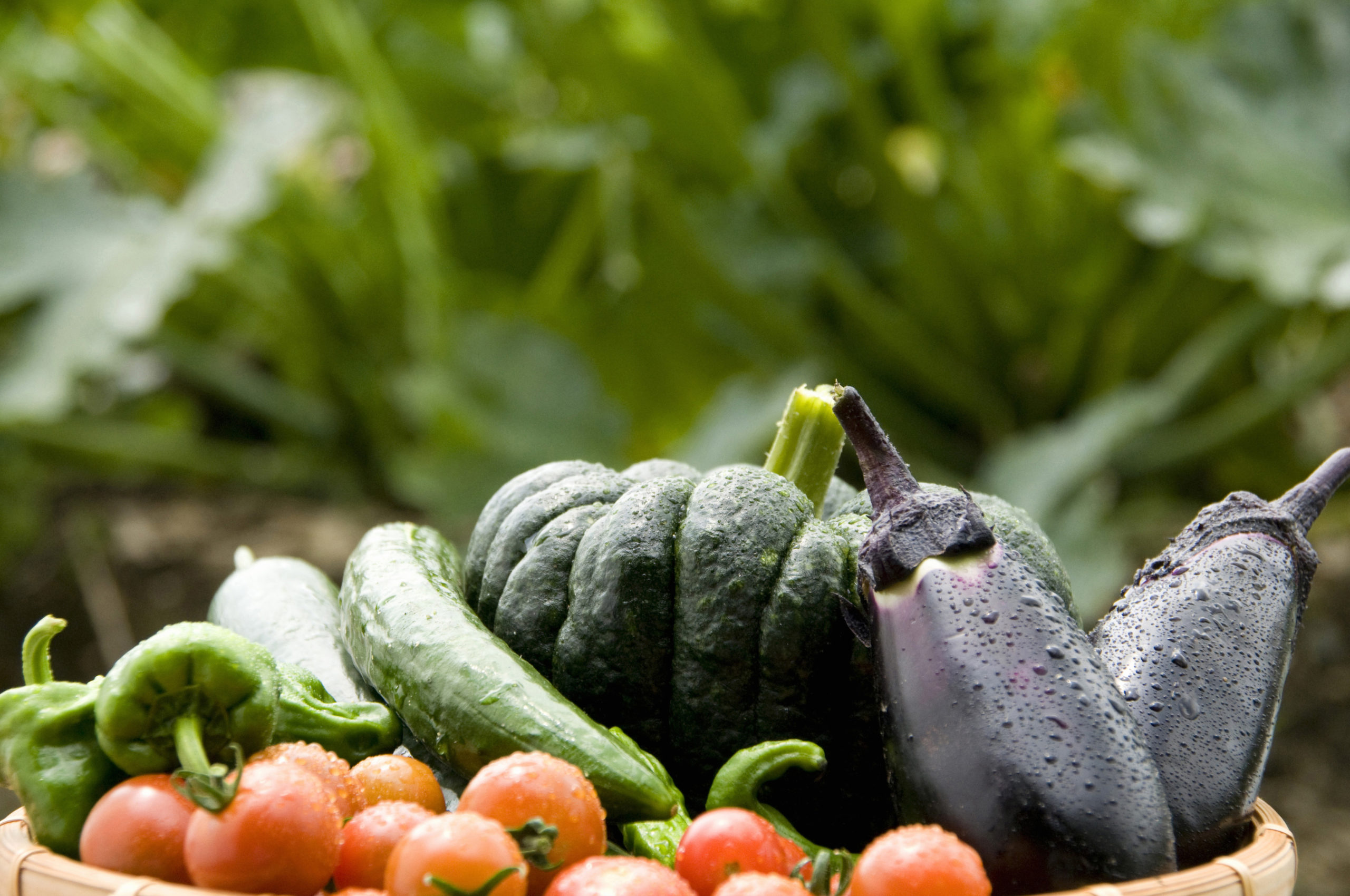 夏野菜の種類とレシピを紹介！夏野菜メニューで手軽な夏バテ対策を