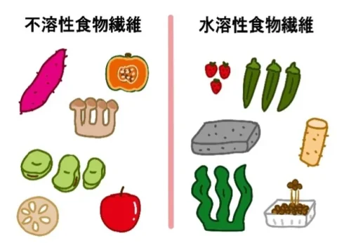 食物繊維