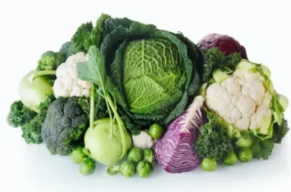 葉物野菜